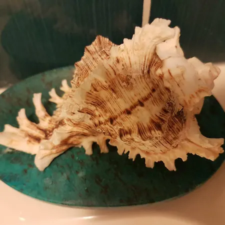 Maligueira 莱里亚