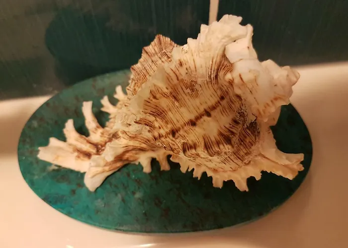 Maligueira 莱里亚